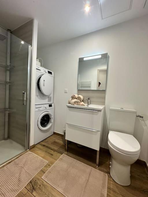 Studio D'Hotes Victoire Sainghin-en-Weppes Extérieur photo